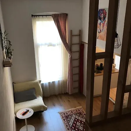 Downtown Apartment Timisoara