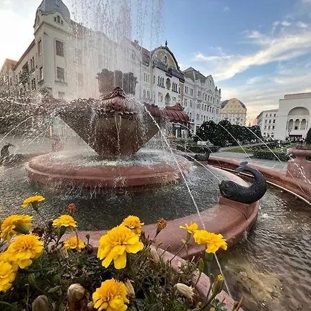 Downtown Daire Temeşvar