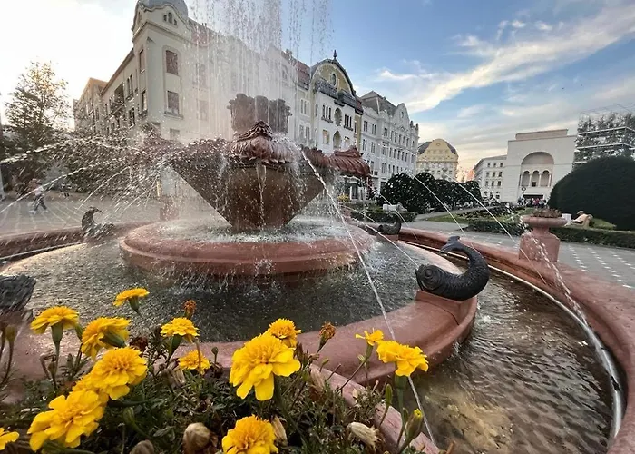 Downtown Lägenhet Timişoara